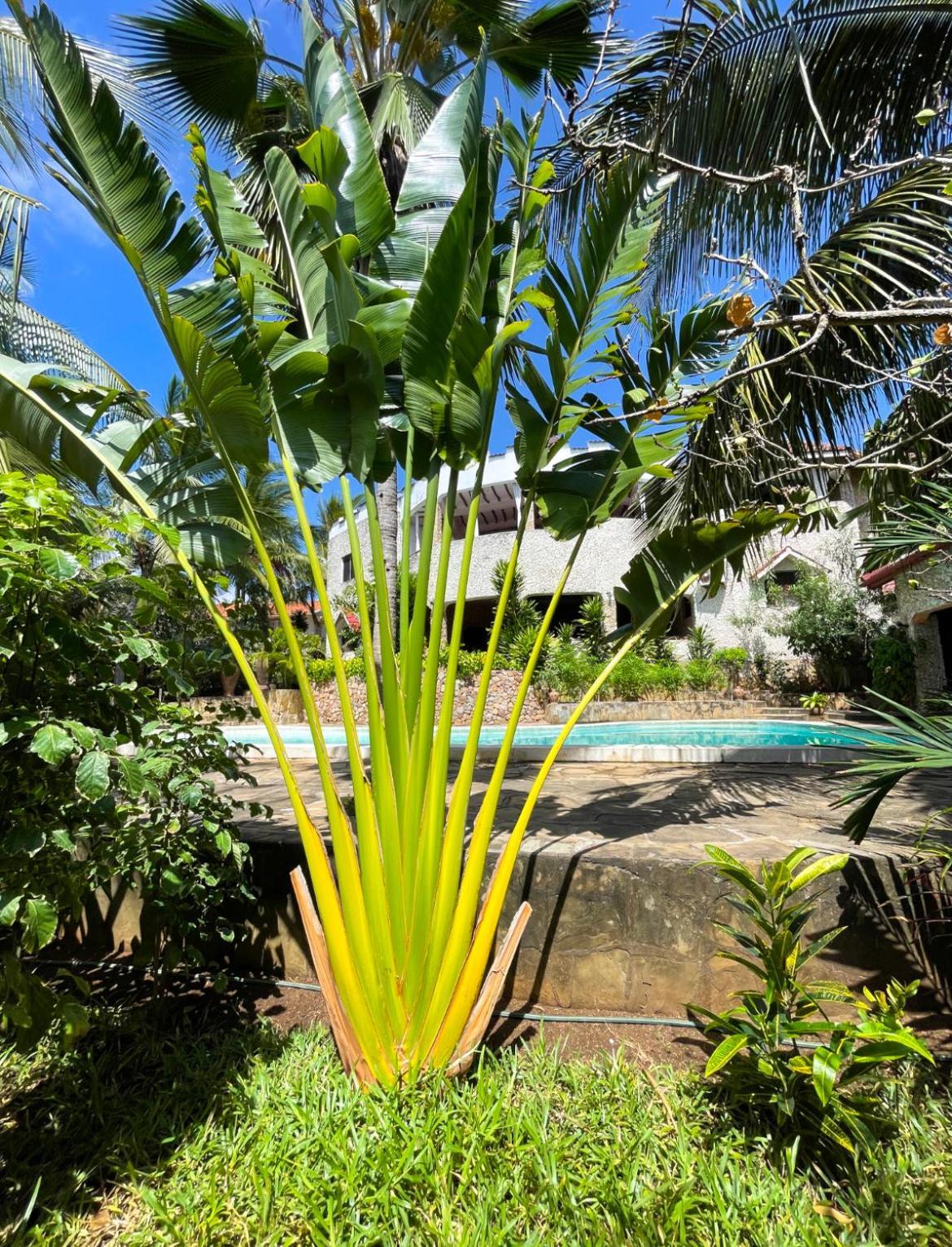 Tembo Village Watamu Exteriör bild